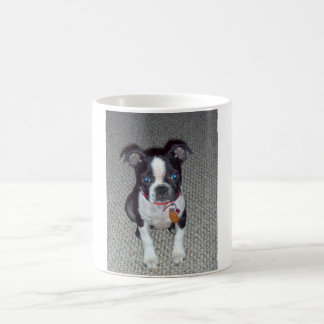 Boston Terrier Mug