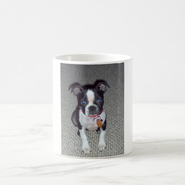 Boston Terrier Mug (Center)