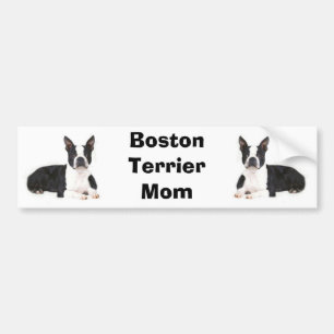 Boston Terrier Mum Bumper Sticker