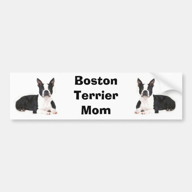 Boston Terrier Mum Bumper Sticker (Front)