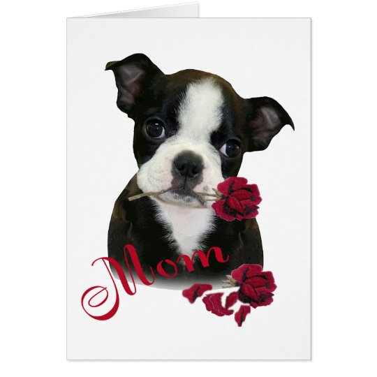 Boston Terrier Mum Card