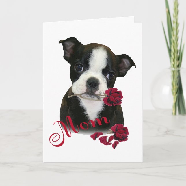 Boston Terrier  Mum Holiday Card (Front)