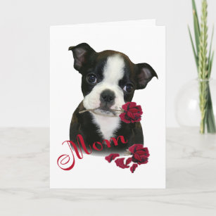 Boston Terrier  Mum Holiday Card