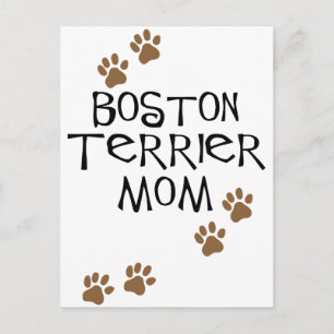 Boston Terrier Mum Postcard
