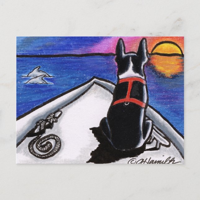 Boston Terrier Nautical Boat Sunset Off-Leash Art™ Postcard (Front)