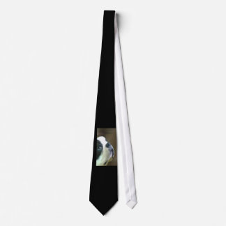 Boston Terrier Neck Tie