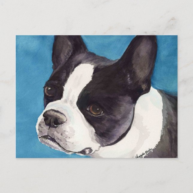 Boston Terrier Original Dog Art Postcard (Front)