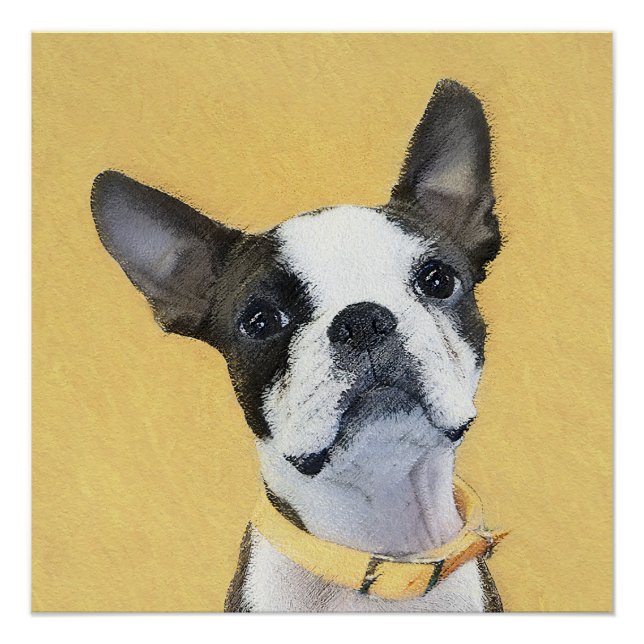 Boston Terrier Painting - Cute Original Dog Art Poster (Front)