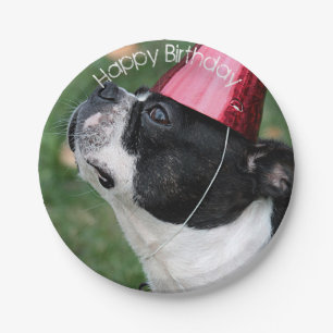 Boston Terrier Paper Plate