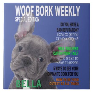 Boston Terrier Parody Magazine Cover Tile
