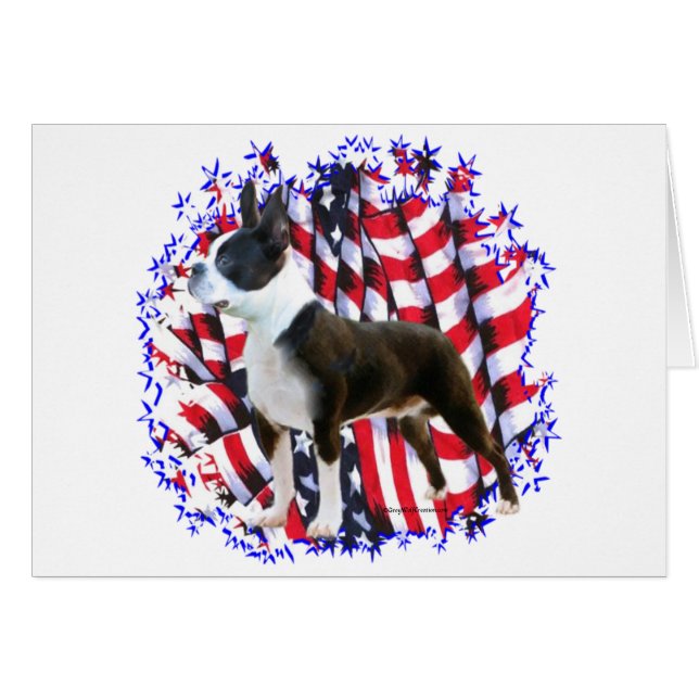 Boston Terrier Patriot (Front Horizontal)