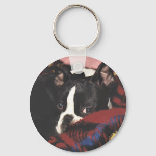 Boston Terrier:  Peek-a-Boo Key Ring