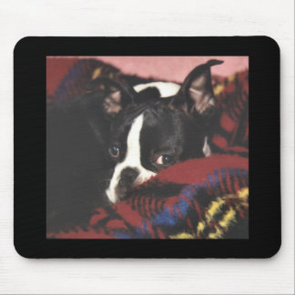 Boston Terrier: Peek-a-Boo Mouse Mat