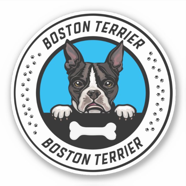 Boston Terrier Peeking Illustration Badge (Front)