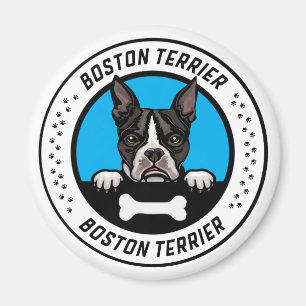 Boston Terrier Peeking Illustration Badge Magnet
