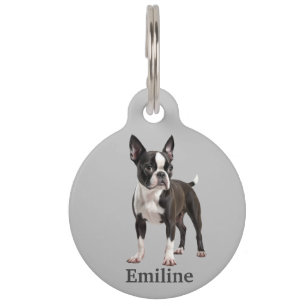 Boston Terrier Personalise Pet Tag