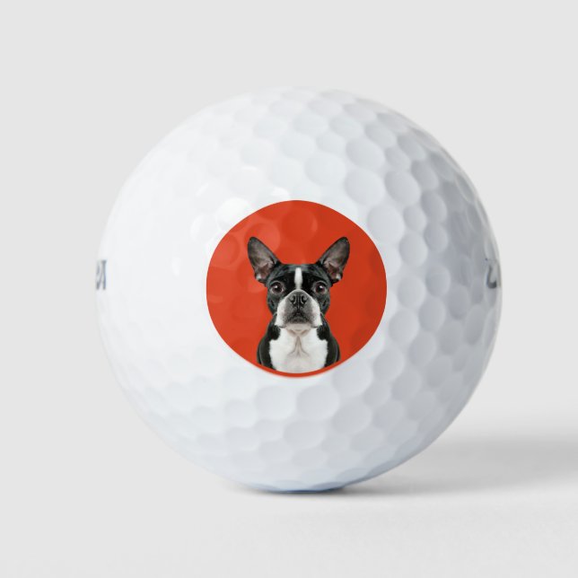 Boston Terrier Pet Theme Golf Balls (Front)