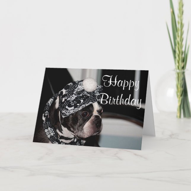 Boston Terrier photo Card (Front)