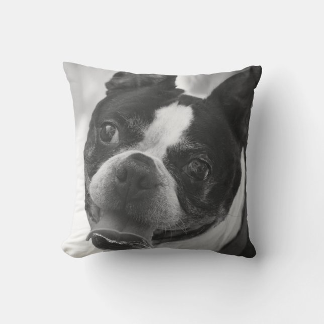 Boston terrier photo cushion (Front)