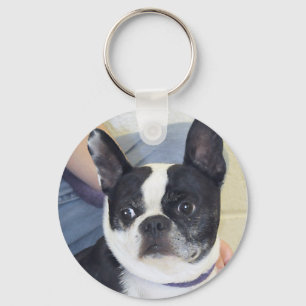 Boston Terrier Photo Key Ring