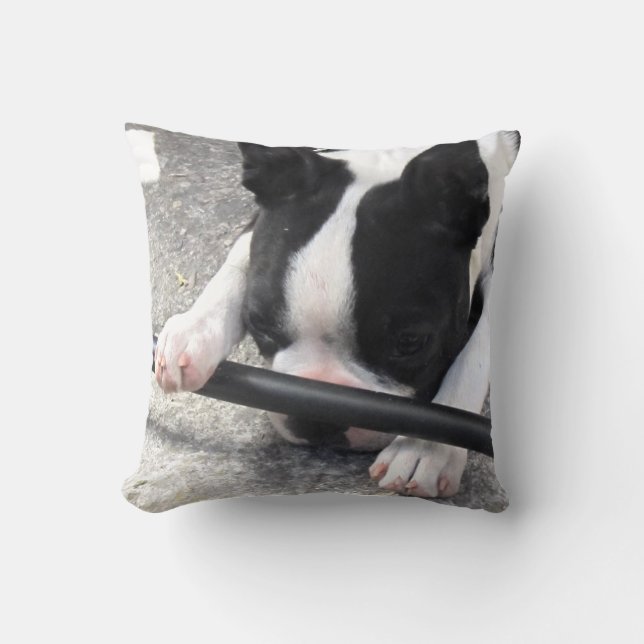 Boston Terrier Pillow (Front)