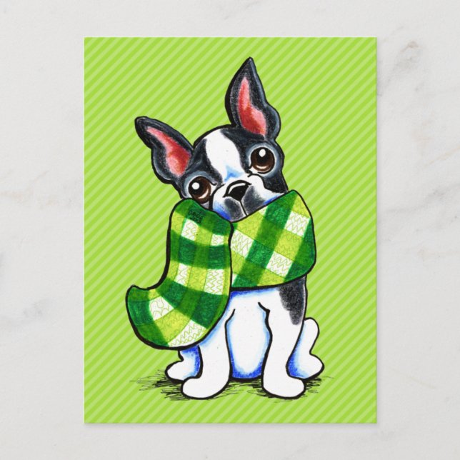 Boston Terrier Plaid Scarf Winter Postcard (Front)