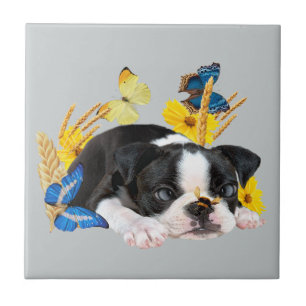 Boston Terrier Play Day Tile