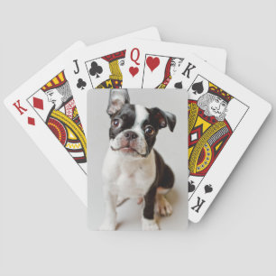Boston Terrier Playing Cards