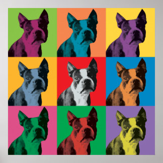 Boston Terrier Pop-Art Poster