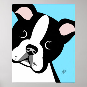 Boston Terrier Portrait  Poster