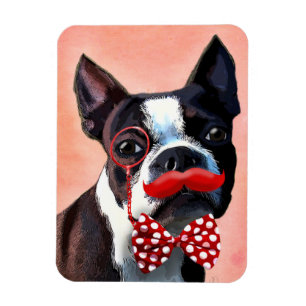 Boston Terrier Portrait with Red Bow Tie and 3 Magnet