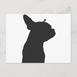 Boston Terrier Postcard