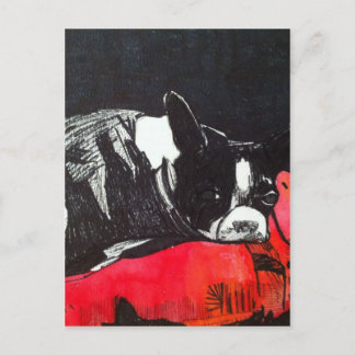 Boston Terrier Postcard
