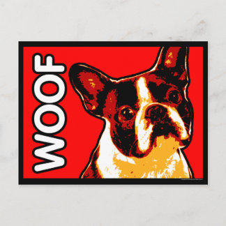 Boston Terrier Postcard