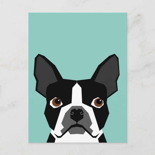 Boston Terrier Postcard (Front)