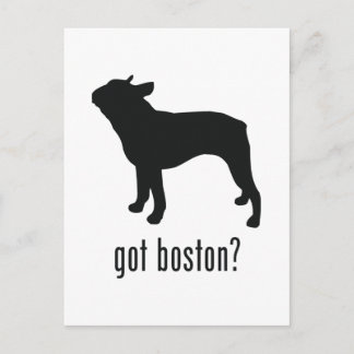 Boston Terrier Postcard