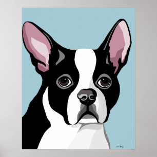 Boston Terrier Posters