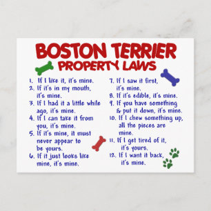 Boston Terrier Property Laws 2 Postcard