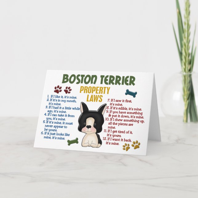 Boston Terrier Property Laws 4 Card (Front)