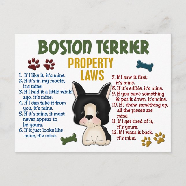 Boston Terrier Property Laws 4 Postcard (Front)