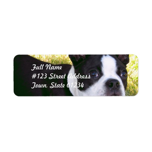 Boston Terrier Pup Mailing Labels (Front)