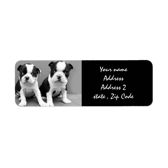 Boston Terrier Puppies Address Labels (Front)