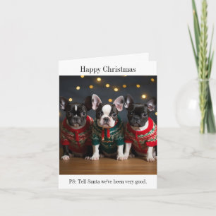Boston Terrier Puppies Christmas Card