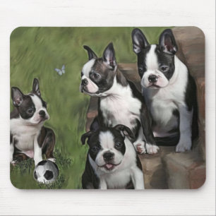 Boston Terrier Puppies Mouse Mat