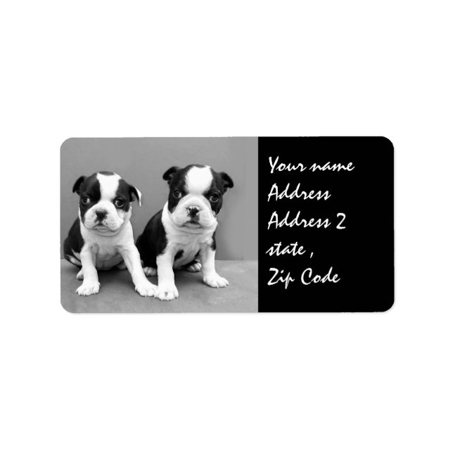 Boston Terrier Puppies shipping label (Front)