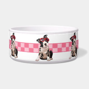 Boston Terrier Puppy