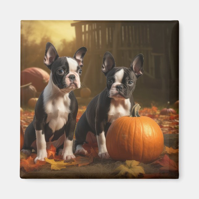 Boston Terrier Puppy Autumn Delight Pumpkin Magnet (Front)