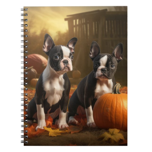 Boston Terrier Puppy Autumn Delight Pumpkin Notebook (Front)