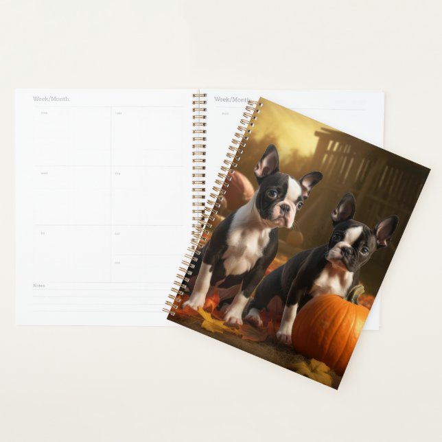 Boston Terrier Puppy Autumn Delight Pumpkin Planner (Display)