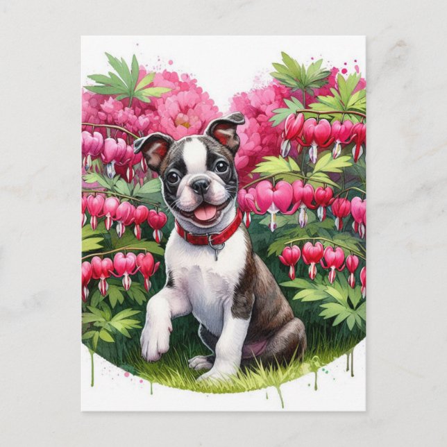 Boston Terrier Puppy Bleeding Heart Flowers Postcard (Front)